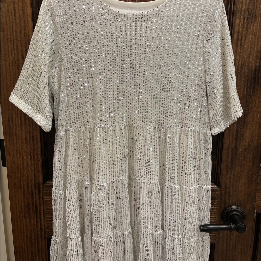 Sparkling Silver Sequin Dress